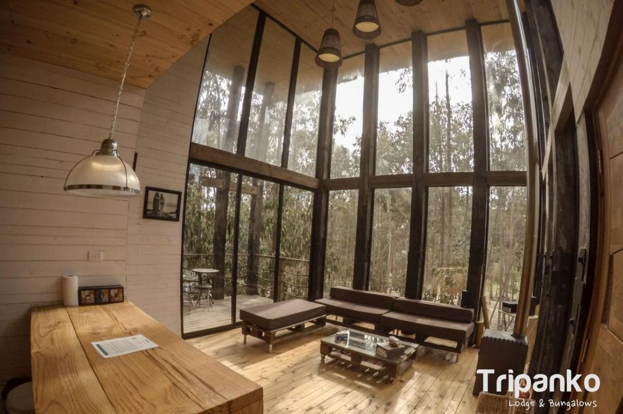 Tripanko Lodge & Bungalows Pichilemu Buitenkant foto