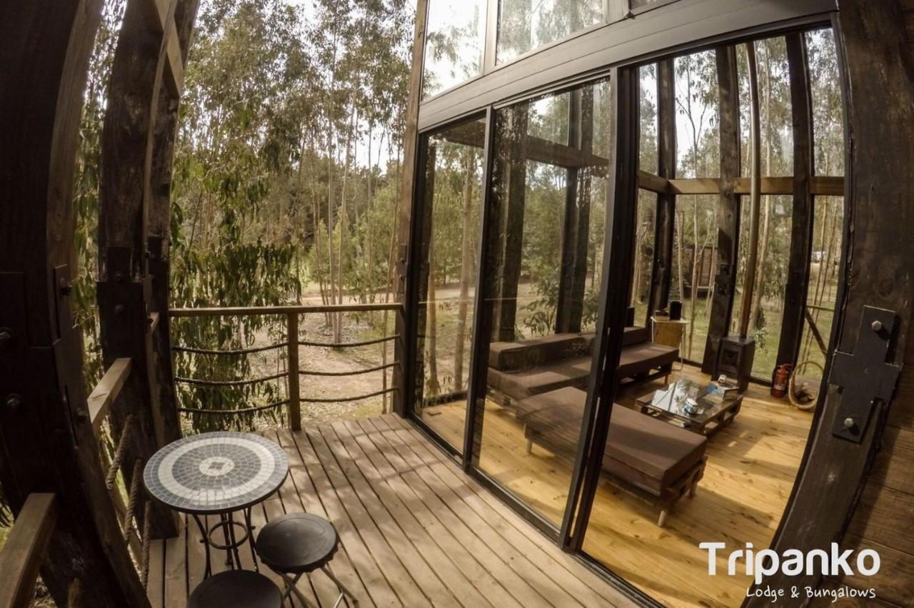 Tripanko Lodge & Bungalows Pichilemu Buitenkant foto