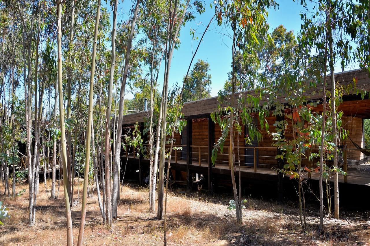 Tripanko Lodge & Bungalows Pichilemu Buitenkant foto
