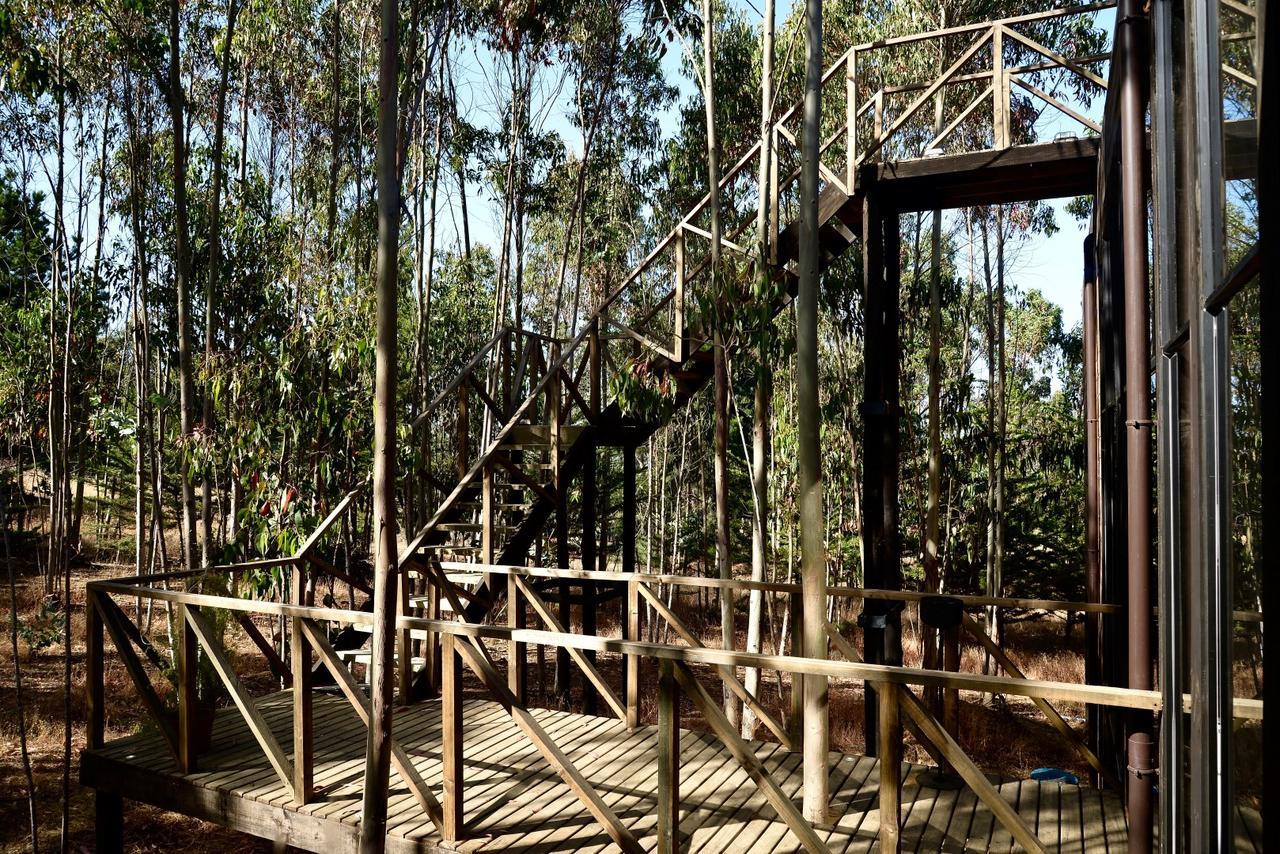 Tripanko Lodge & Bungalows Pichilemu Buitenkant foto