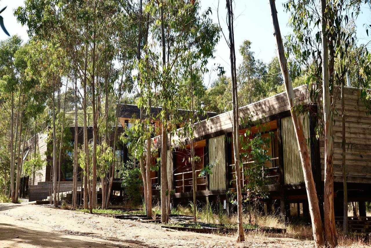 Tripanko Lodge & Bungalows Pichilemu Buitenkant foto