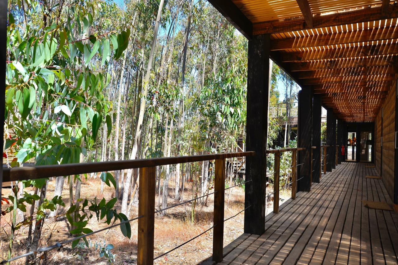 Tripanko Lodge & Bungalows Pichilemu Buitenkant foto