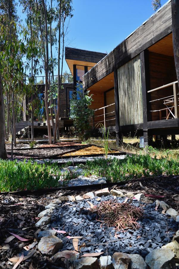Tripanko Lodge & Bungalows Pichilemu Buitenkant foto
