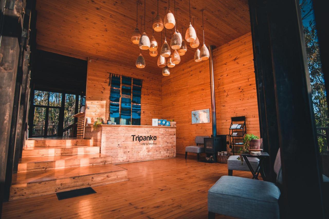 Tripanko Lodge & Bungalows Pichilemu Buitenkant foto